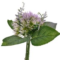 Bukiet kaktus 2 fioletowy