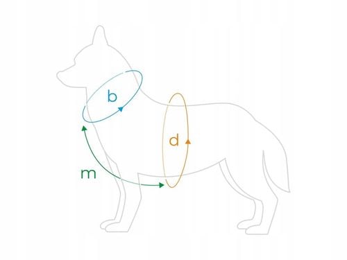 AMIPLAY SZELKI GUARD BE HAPPY L JUNGLE na Arena.pl