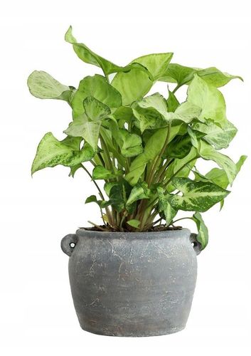 OSŁONKA DONICZKA 17,6 cm Amfora szara na Arena.pl