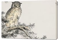 Obraz 100x70cm Japanese Scops Owl, Kashu Vintage do Salonu