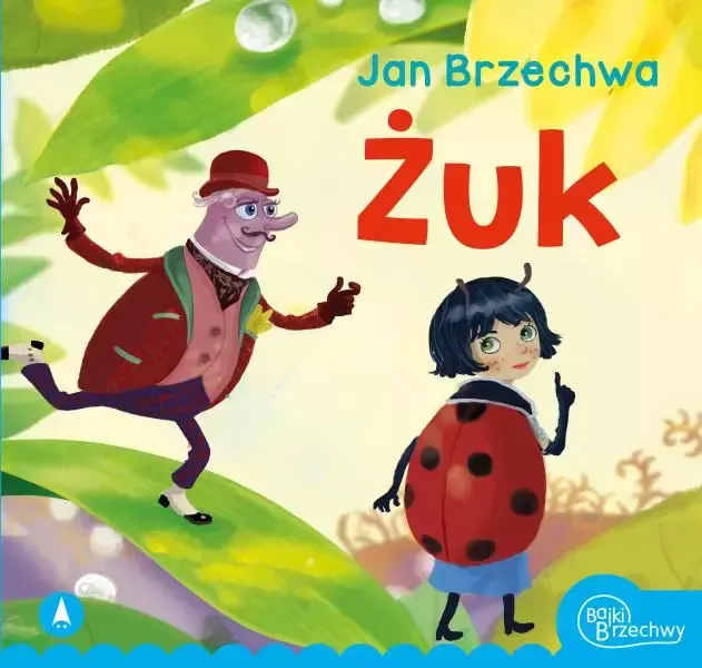 Żuk zdjęcie 1