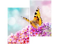 60X60CM MOTYL KWIATKACH DWU OBRAZ ŚCIAN