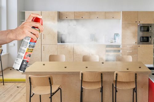 PREPARAT SPRAY ŚRODEK NA MUCHY MUSZKI OWOCÓWKI KOMARY NO PEST 750ML na Arena.pl