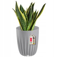 DONICZKA DONICA OSŁONKA + WKŁADKA SZARA 14,5x17CM