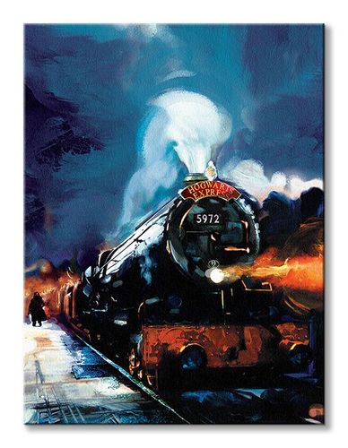 Harry Potter (Hogwarts Express) - Obraz na płótnie 60x80 cm na Arena.pl