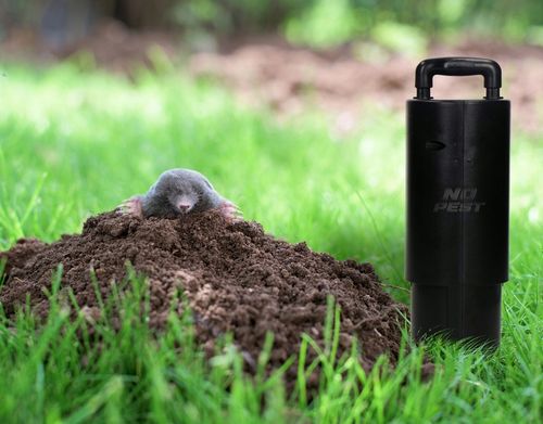 PUŁAPKA ŁAPKA KRETOŁAP CHWYTACZ NA KRETY I NORNICE NO PEST MOLE na Arena.pl