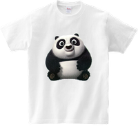Koszulka T-shirt dla dzieci Kung fu Panda