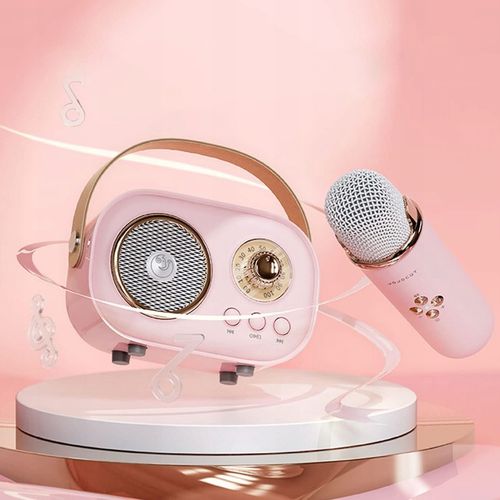 MIKROFON BEZPRZEWODOWY KARAOKE GŁOŚNIK BLUETOOTH C20 PLUS + 2 MIKROFON na Arena.pl