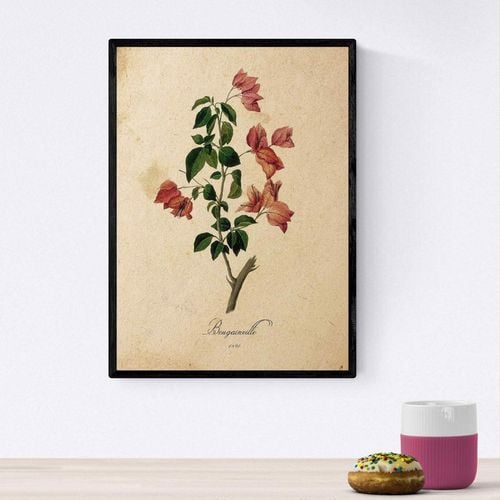 plakat obraz kwiaty vintage a4 na Arena.pl