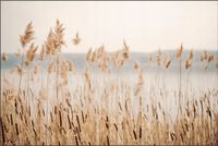 Tło PRODUKTOWE kulinarne Flat Lay na bloga insta