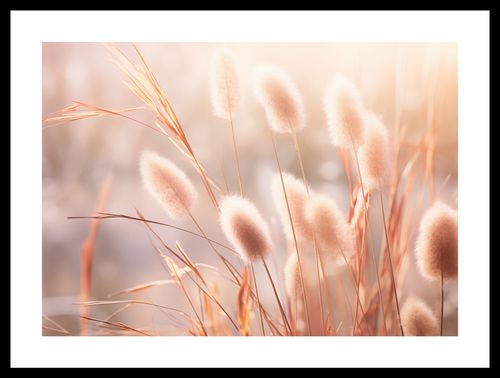 Plakat 42x29,7cm Kwiaty Słońca na Arena.pl