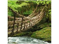 50X50CM MOST LINOWO-BAMBUSOWY OBRAZ