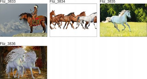 FOTOTAPETA RYSUNEK TWARZE POSTACIE 200x130 na Arena.pl