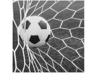 50X50CM PIŁKA BRAMCE OBRAZ