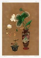 Plakat 21x29,7cm Kwiaty w Wazonie, G.A. Audsley Vintage do Salonu