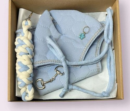 BŁĘKITNY BOX Z AKCESORIAMI DLA HOBBY HORSE A3 na Arena.pl