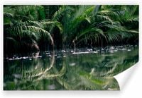 Fototapeta PREMIUM STRUKTURA ZMYWALANA las tropikalny namorzynowy rzeka