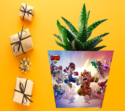 Doniczka do kwiatów - Brawl Stars na Arena.pl