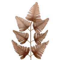 Liść paproci brązowy 12 szt