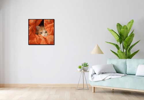 Plakat 60x60cm Ukryty Kot na Arena.pl