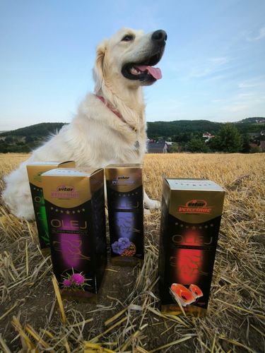 VITAR Veterinae Olej Lniany 500 ml - lśniąca sierść + doskonałe źródło na Arena.pl
