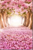 product-compare-58711520