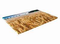 SZKLANA DESKA KUCHENNA 60x20 410c Zboże