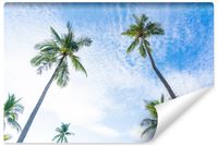 Fototapeta Do Salonu PALMY Niebo Chmury Natura Efekt 3D 90cm x 60cm
