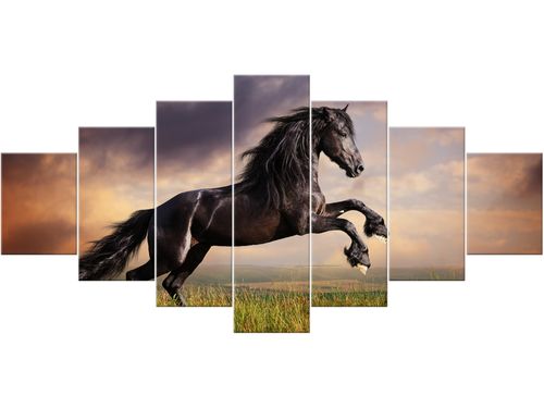 Obraz drukowany płótno 7 elementów 210x100 GRATIS na Arena.pl