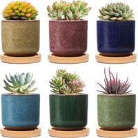 6x DONICZKI CERAMICZNE NA SUKULENTY KAKTUSY PODSTAWKI DREWNO OKRĄGŁE