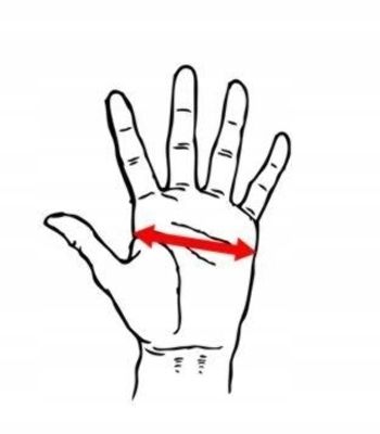 RĘKAWICE DO MMA SPARINGOWE PREMIUM UNIWERSALNE KRAV MAGA COMBAT na Arena.pl