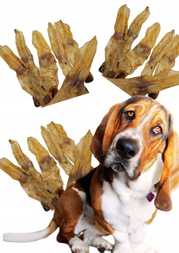 NATURALNY GRYZAK DLA PSA PRZYSMAKI SMACZKI UCHO KRÓLICZE 500 G SUSZONE na Arena.pl