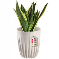 DONICZKA OSŁONKA EKO + WKŁADKA KREMOWA 14,5x17CM