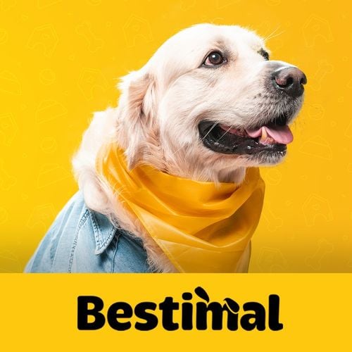 NATURALNE GRYZAKI BESTIMAL PAŁECZKI Z KACZKĄ 500G PRZYSMAK DLA PSA Z KACZKI na Arena.pl