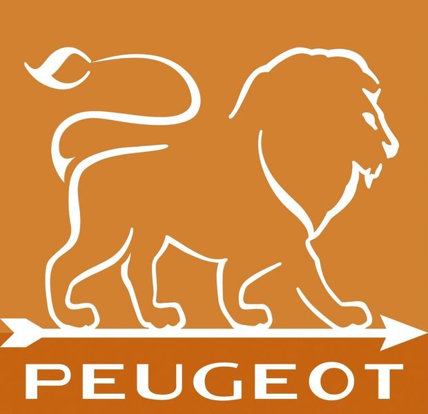 Peugeot Młynek Paris 22cm do pieprzu zdjęcie 13