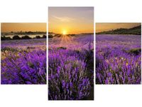 90X60CM OBRAZ POLE LAWENDY TRZY OBRAZY
