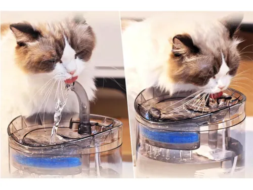 Automatyczne poidełko dla kota psa fontanna cicha miska poidło na Arena.pl