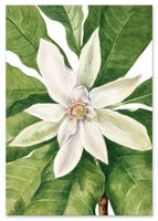 Plakat cyfrowy do wydruku zielone kwiaty