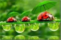 product-compare-58694503