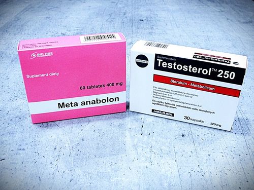 Mocny Preparat Testosterol + Meta Masa Siła libido Testosteron sterole na Arena.pl