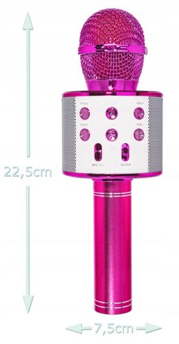BEZPRZEWODOWY MIKROFON DLA DZIECI ZESTAW DO KARAOKE BLUETOOTH ETUI USB na Arena.pl
