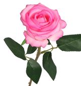 SZTUCZNE KWIATY RÓŻE RÓŻA ZAMSZOWA WELUROWA 46CM