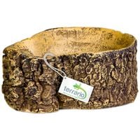 Terrario Bark Bowl – Miska do Terrarium 10x7,5x4 cm