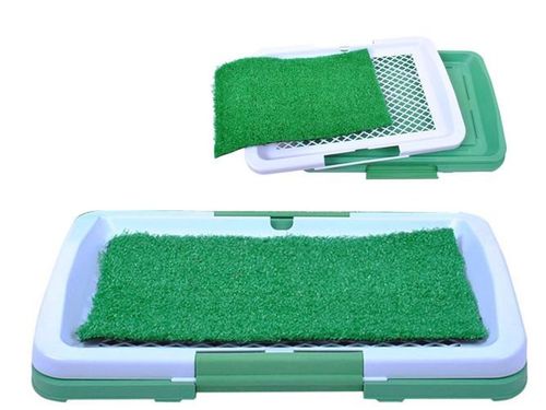 Kuweta dla psa na Arena.pl