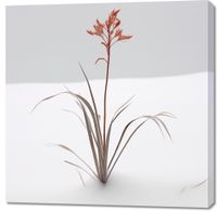 product-compare-59469666