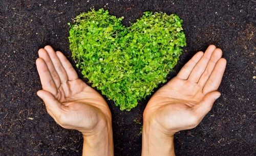 Olej do smarowania łańcucha Eko-Pil 68 5L ORYGINAŁ na Arena.pl