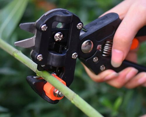 SEKATOR SZCZEPIENIA WINOGRON DRZEW KRZEWÓW + TAŚMA na Arena.pl