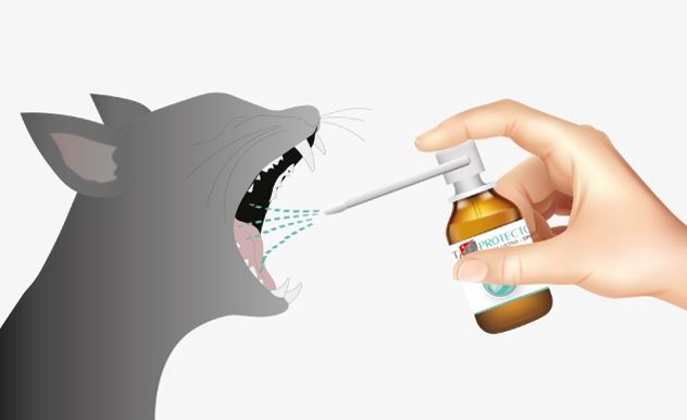 VET PROTECTOR JAMA USTNA-SPRAY 30ml zdjęcie 3