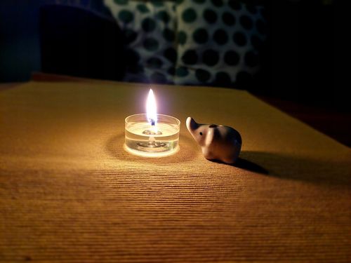 Podgrzewacz Tealighty sojowe bezzapachowe w przezroczystej osłonie - na Arena.pl