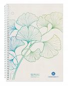 BRULION NA S.70 A5KR GREENLINE GINKO